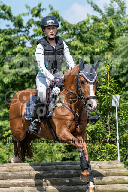 Goldene Schärpe 2021 - Ponys