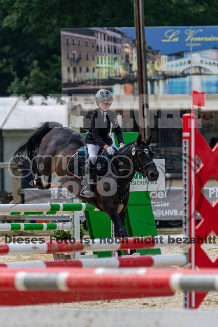 Goldene Schärpe 2021 - Ponys