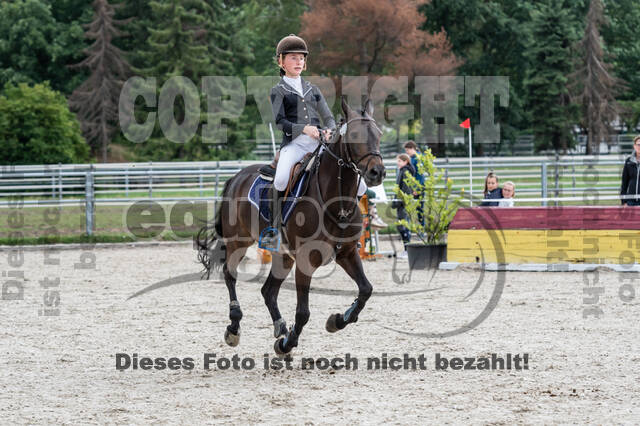 Late-Entry-Vielseitigkeit Langenfeld (06.+07.07.2020)