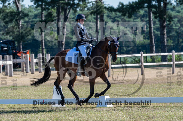 Kronenberg - De Peelbergen (August 2020)