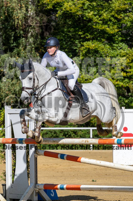 RFV Dinslaken-Hiesfeld (Herbstturnier)
