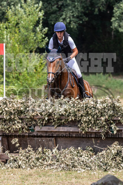 Late-Entry Vielseitigkeit Hamminkeln/Wesel (01.+02.08.2020)