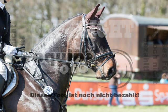 Frühjahrsvielseitigkeit RV Seydlitz Kamp