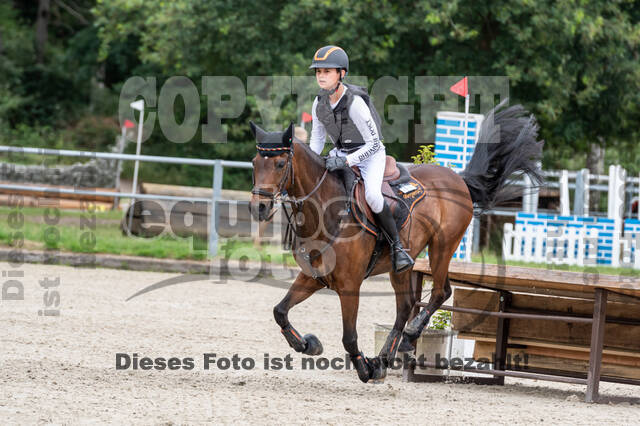 Late-Entry-Vielseitigkeit Langenfeld (11.+13./14.06.2020)
