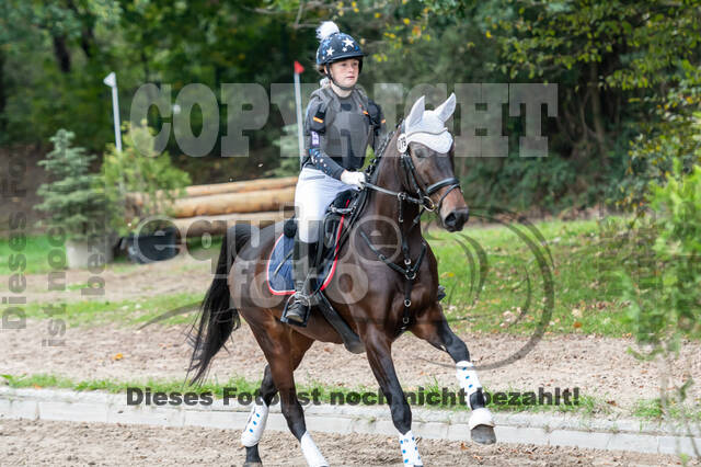 Goldene Schärpe 2020 - Pferde