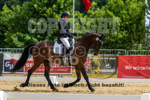 Westerstede Horse Trials 2021