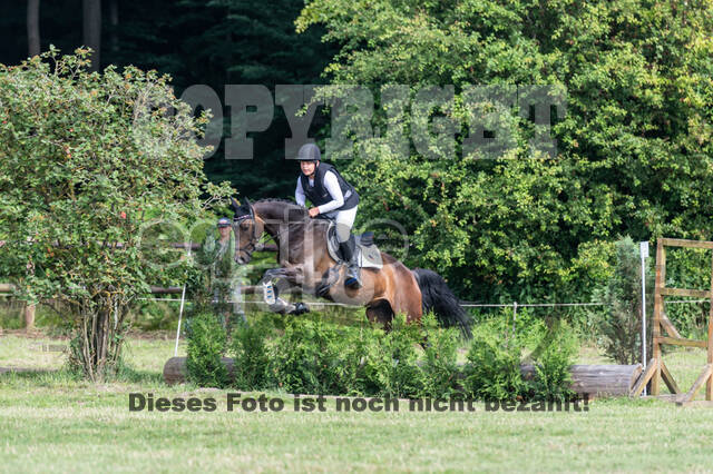 Goldene Schärpe 2021 - Ponys