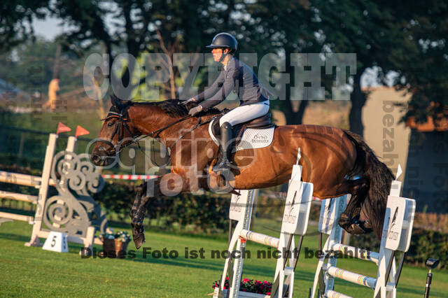 De Peelbergen (August 2020)