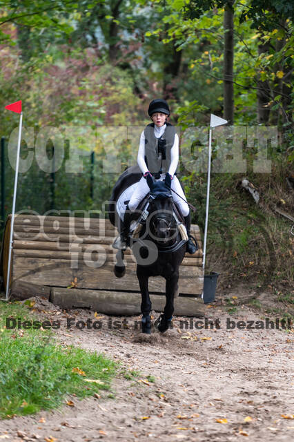 Goldene Schärpe 2020 - Pferde