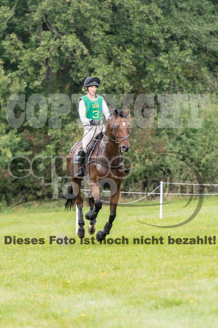 Deutsche Meisterschaft Vielseitigkeit (Luhmühlen)