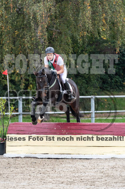 Goldene Schärpe 2020 - Pferde