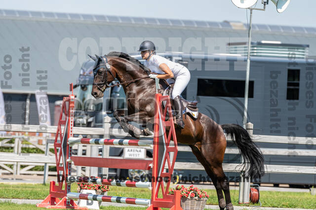 Kronenberg - De Peelbergen (August 2020)