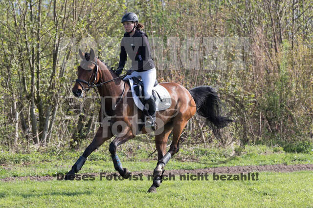 Vielseitigkeitsturnier RV Lippe-Bruch-Gahlen