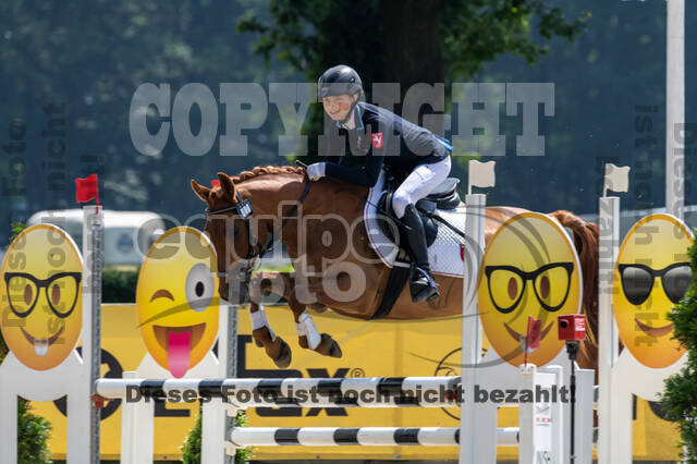 Goldene Schärpe 2021 - Ponys