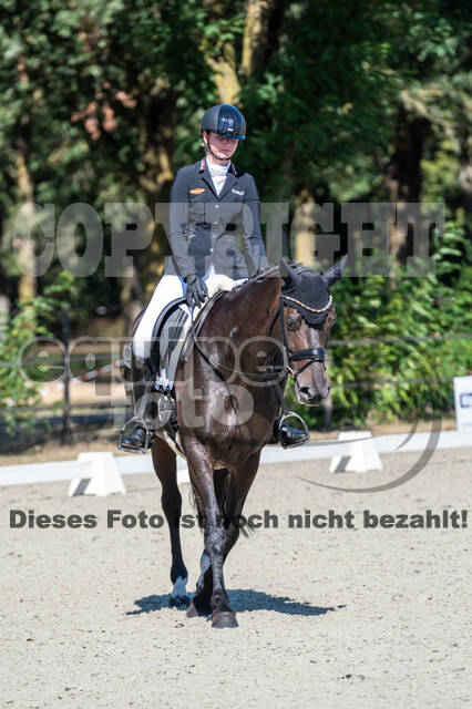 Kronenberg - De Peelbergen (August 2020)