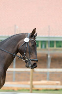Eventing WRFS Münster