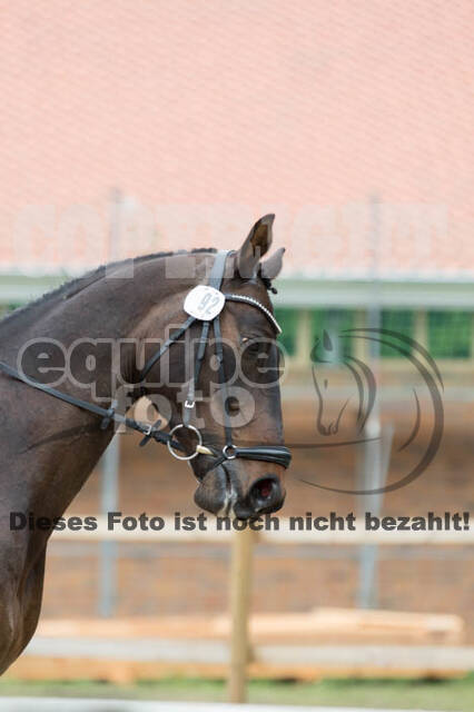 Eventing WRFS Münster