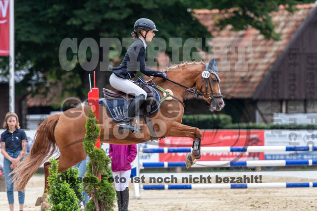 Goldene Schärpe 2021 - Ponys