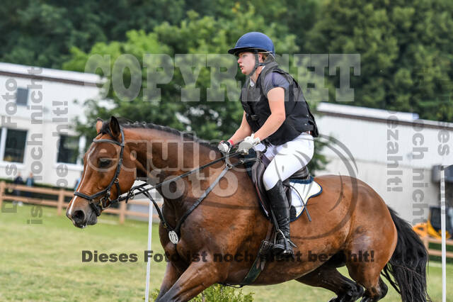 Late-Entry-Vielseitigkeit Langenfeld (11.+13./14.06.2020)