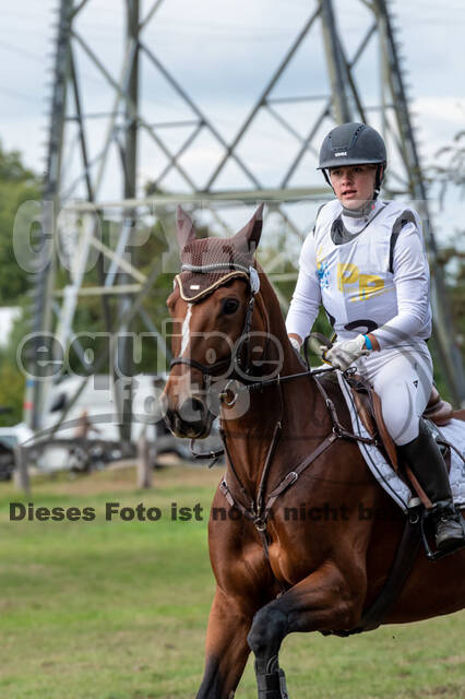 Vielseitigkeit RSV Wesel Obrighoven (26.+27.09.2020)