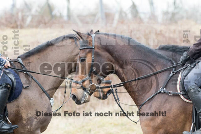 Geländetraining RSV Wesel Obrighoven