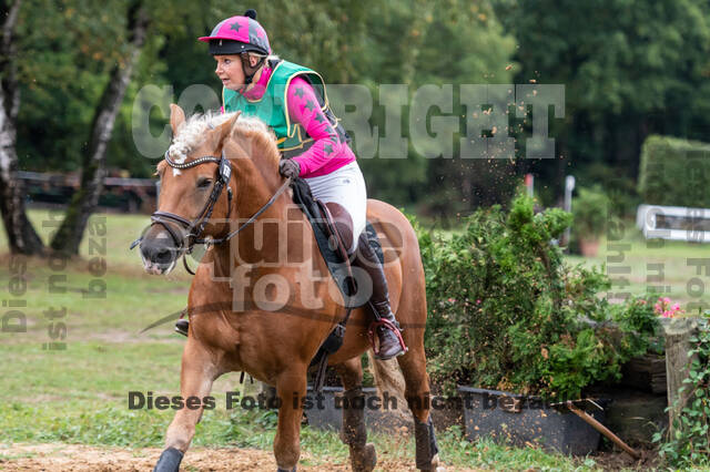 Vielseitigkeit RSV Wesel Obrighoven (26.+27.09.2020)