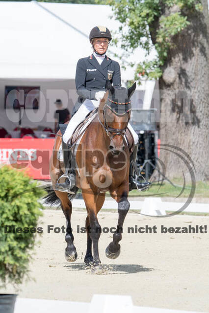 FEI European Championship Eventing 2017