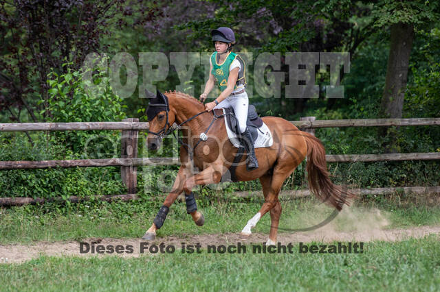 Late-Entry-Vielseitigkeit Gahlen (18.07.2020)