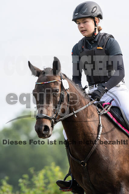 Goldene Schärpe 2021 - Ponys