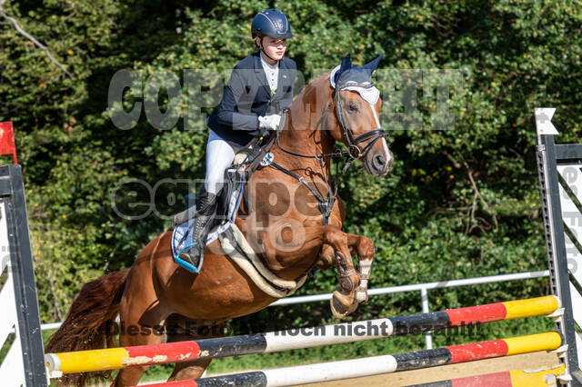 RFV Dinslaken-Hiesfeld (Herbstturnier)