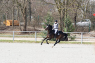 Eventing Langenfeld 2018