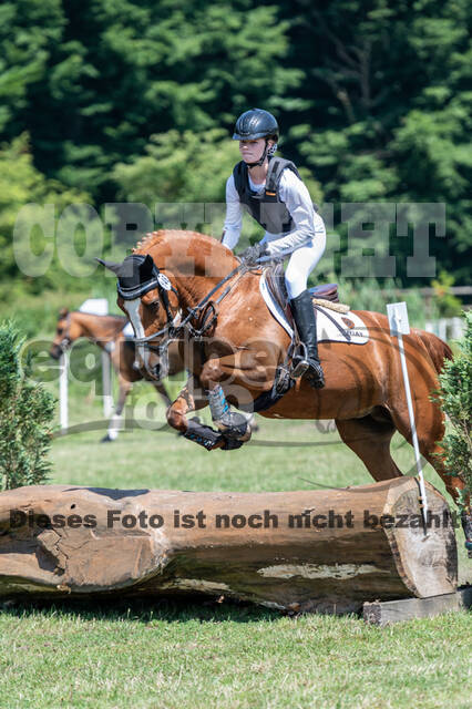 Goldene Schärpe 2021 - Ponys