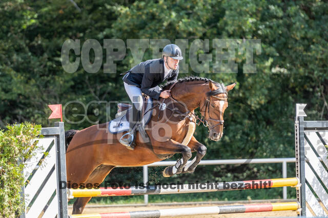 RFV Dinslaken-Hiesfeld (Herbstturnier)