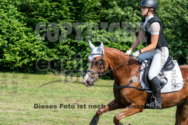 Goldene Schärpe 2021 - Ponys