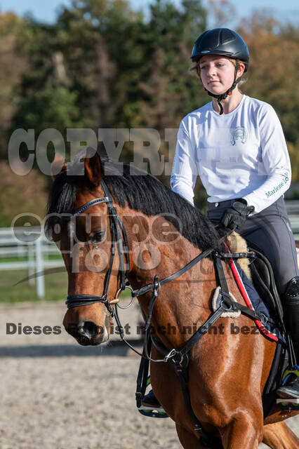 IGV Lehrgang der Sieger der Cups mit Frank Ostholt