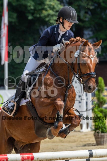 Goldene Schärpe 2021 - Ponys
