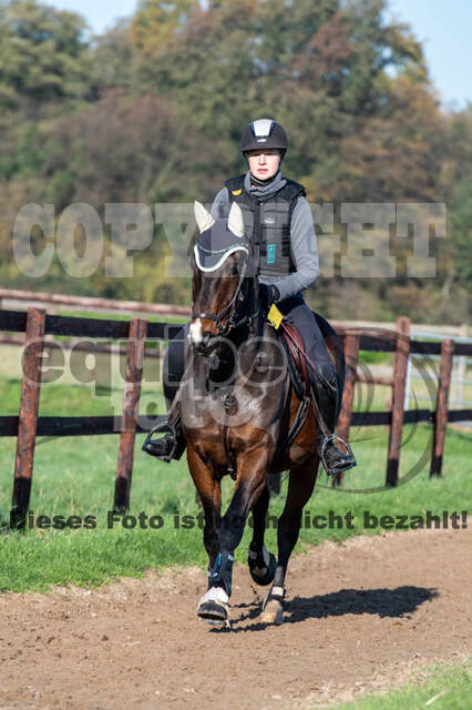 Vielseitigkeitslehrgang mit Jürg Kurbel (9.+10.11.2019)