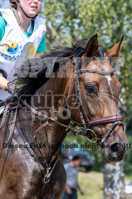 Late-Entry Vielseitigkeit Hamminkeln/Wesel (01.+02.08.2020)