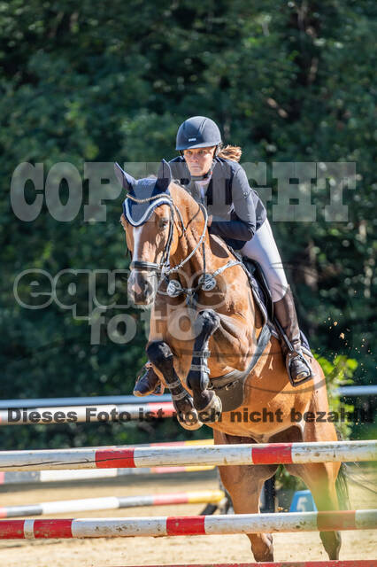 RFV Dinslaken-Hiesfeld (Herbstturnier)