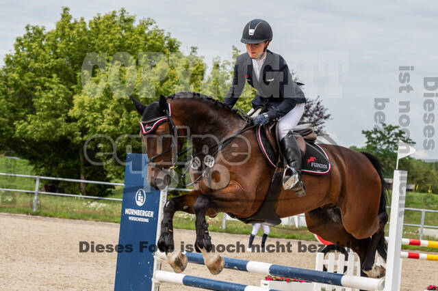 Late-Entry-Vielseitigkeit Langenfeld (06.+07.07.2020)