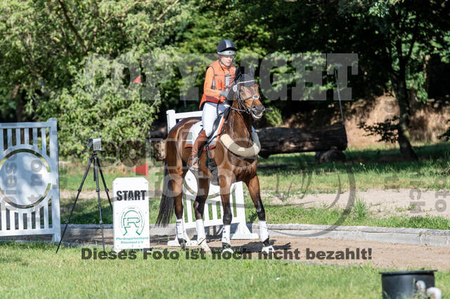 Late-Entry-Vielseitigkeit Langenfeld (11.+13./14.06.2020)