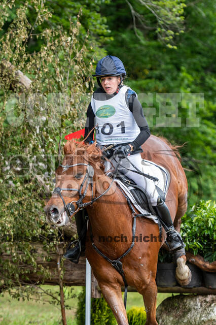 Westerstede Horse Trials 2021