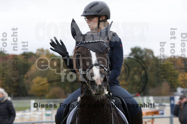 IGV Lehrgang der Sieger der Cups mit Frank Ostholt