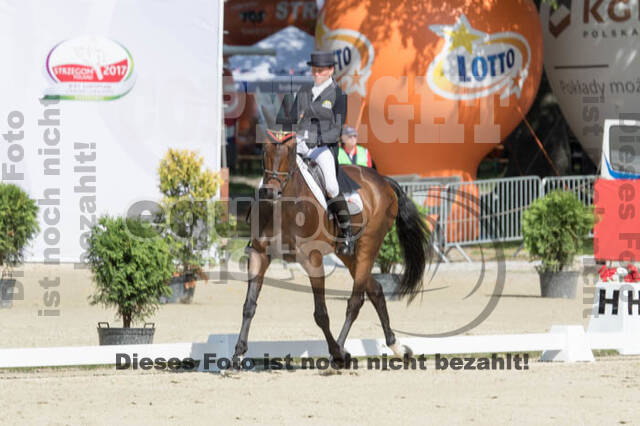 FEI European Championship Eventing 2017