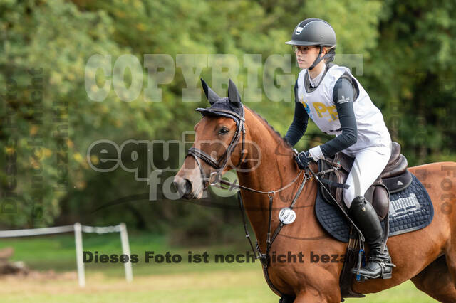 Vielseitigkeit RSV Wesel Obrighoven (26.+27.09.2020)