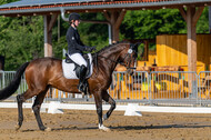 Westerstede Horse Trials 2021