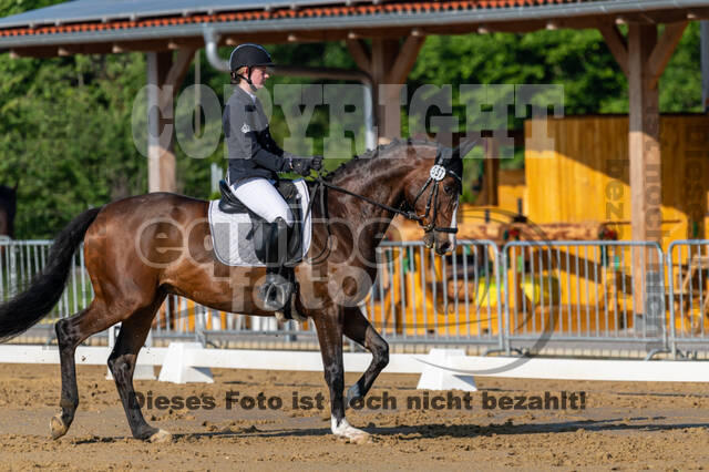 Westerstede Horse Trials 2021