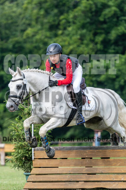 Goldene Schärpe 2021 - Ponys