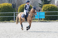 Eventing Langenfeld 2018