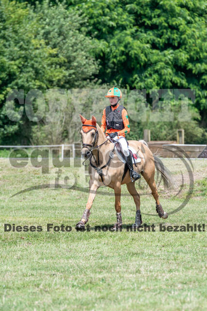 Goldene Schärpe 2021 - Ponys